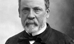 Claude Bernard Biography